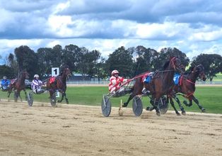 Harness Racing 314 x 220